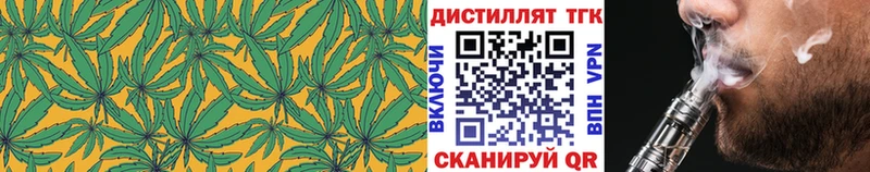 Купить где  Онега  ТГК гашишное масло 