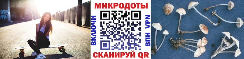 Псилоцибиновые грибы ЛСД  Купить закладки  Онега 